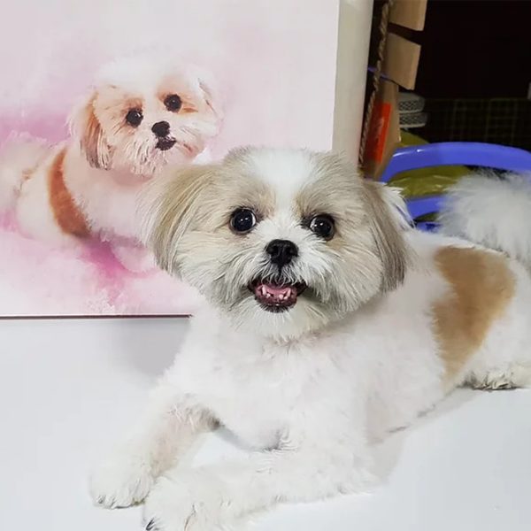Custom Pet Portrait Digital Art Watercolour Style