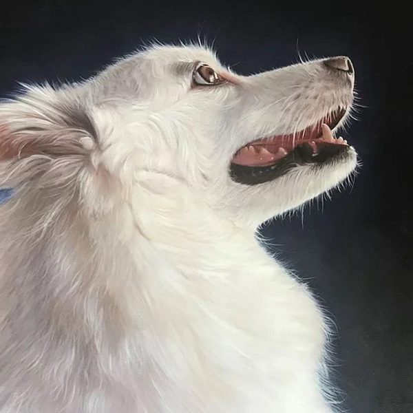 Custom Pet Portrait Oil Painting Package
