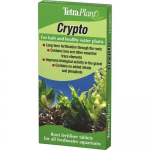 Rein Biotech Tetra Crypto
