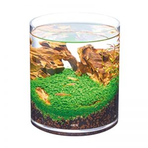 Gex Glass Aquarium Cylinder (2) - GEX - ReinBiotech