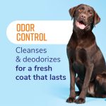 NP-FSOCHSH22Z Naturel Promise Odor Control Refreshing Shampoo