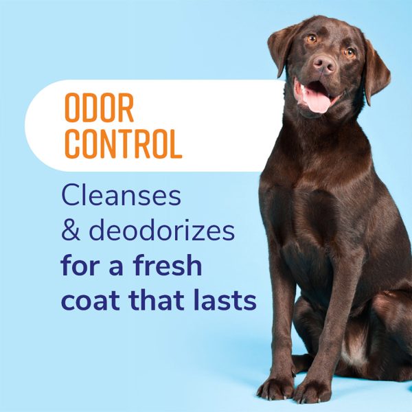 NP-FSOCHSH22Z Naturel Promise Odor Control Refreshing Shampoo
