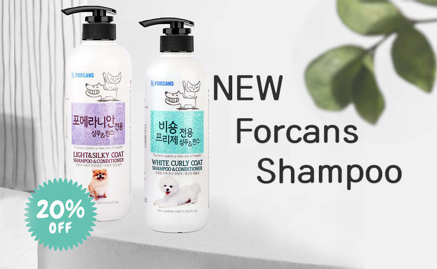 Forcans Shampoo Promo