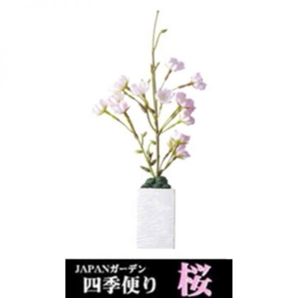 GX023285 Cherry Blossom - GEX - Reinbiotech