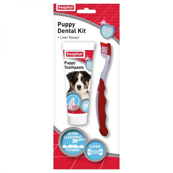 Puppy Dental Kit - Beaphar - Adec Distribution