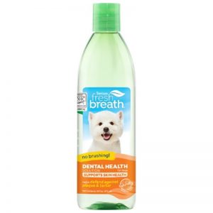 TropiClean Fresh Breath Dental Health Solution Supports Skin Health for Dogs, 16oz - TropiClean - Silversky