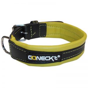Leather Collar Green EVERYDAY LIFE M - Connect - Adec Distribution