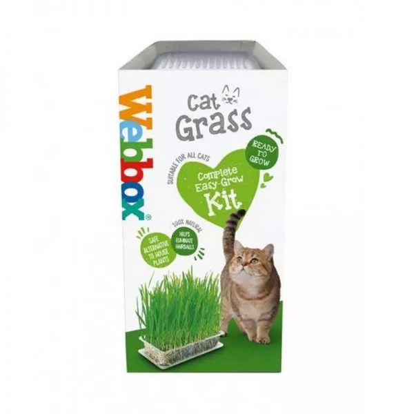 Webbox Catgrass