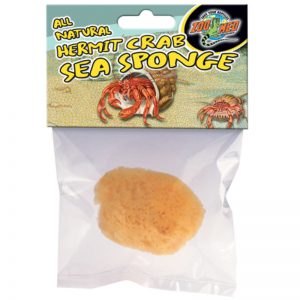 Hermit Crab Sea Sponge - Zoo Med