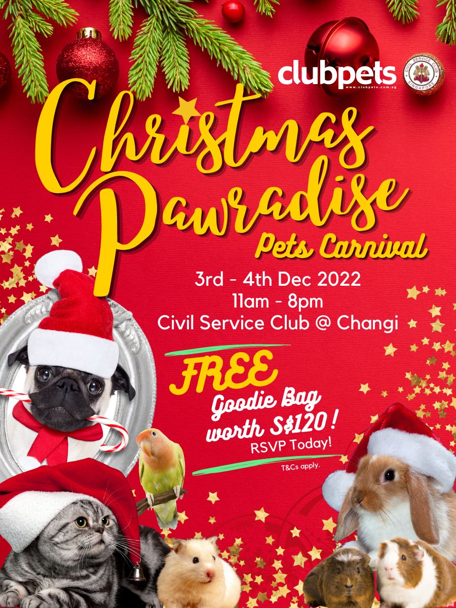 Christmas Pawradise Pets Carnival | Pet Expo | Pet Show | Pet Event