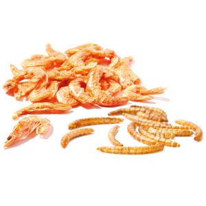 PKJP142-Xtra-Bite-Dried-Mealworm-Shrimps-60g