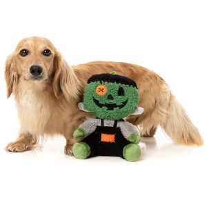 FY90005 FuzzYard Halloween Plush Dog Toy - Jack-O Chan Frankenstein [Size: Small]