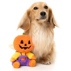 FY90029 FuzzYard Halloween Plush Dog Toy - Jack-O Chan
