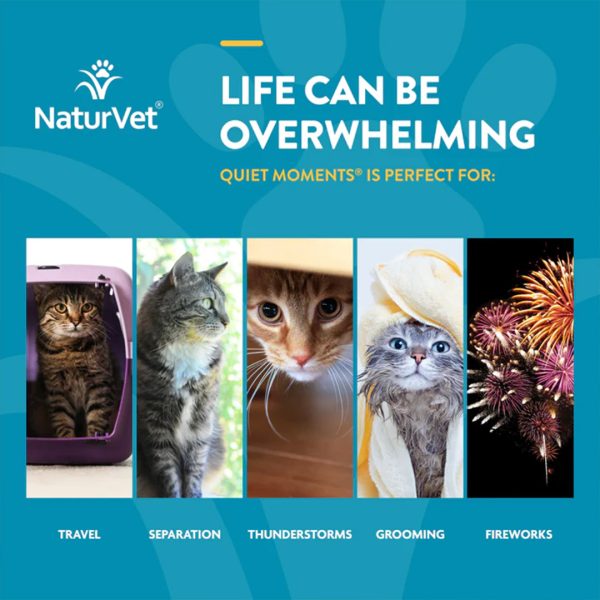 NV-CAT-SCOOP-QUIET NaturVet Scoopables Quiet Moments Calming Aid For Cats (5.5oz)