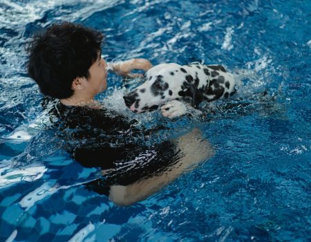 Explore These Top Hydrotherapy Centres For Dogs In Singapore