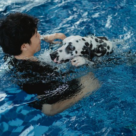 Explore These Top Hydrotherapy Centres For Dogs In Singapore