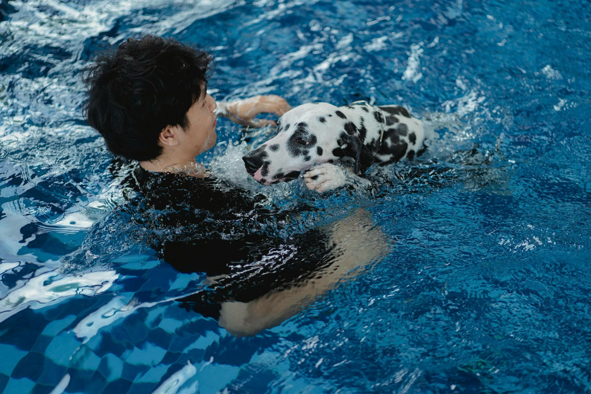 Explore These Top Hydrotherapy Centres For Dogs In Singapore