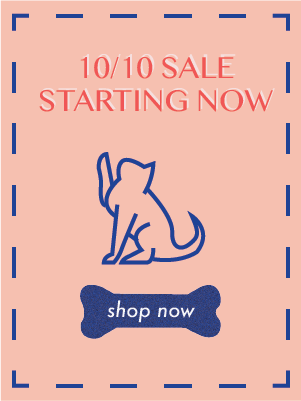 10.10 | CP-E-store