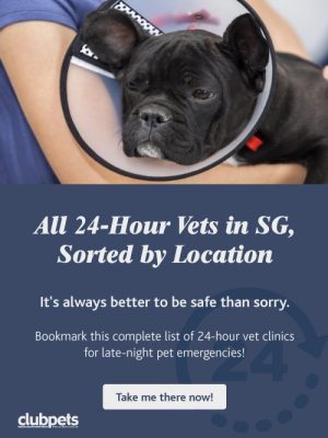 24 hrs Vet in Singapore | clubpets