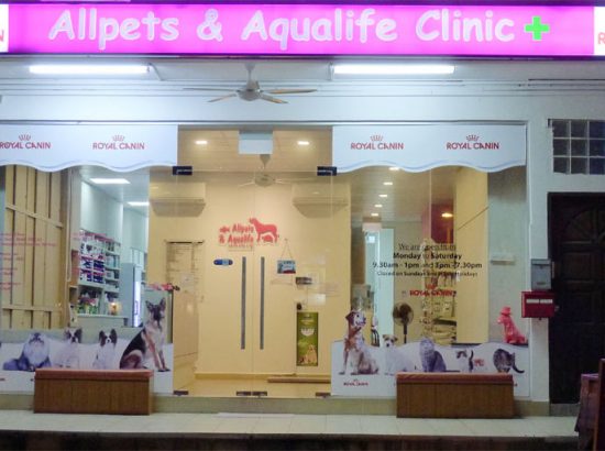 Allpets & Aqualife Clinic 