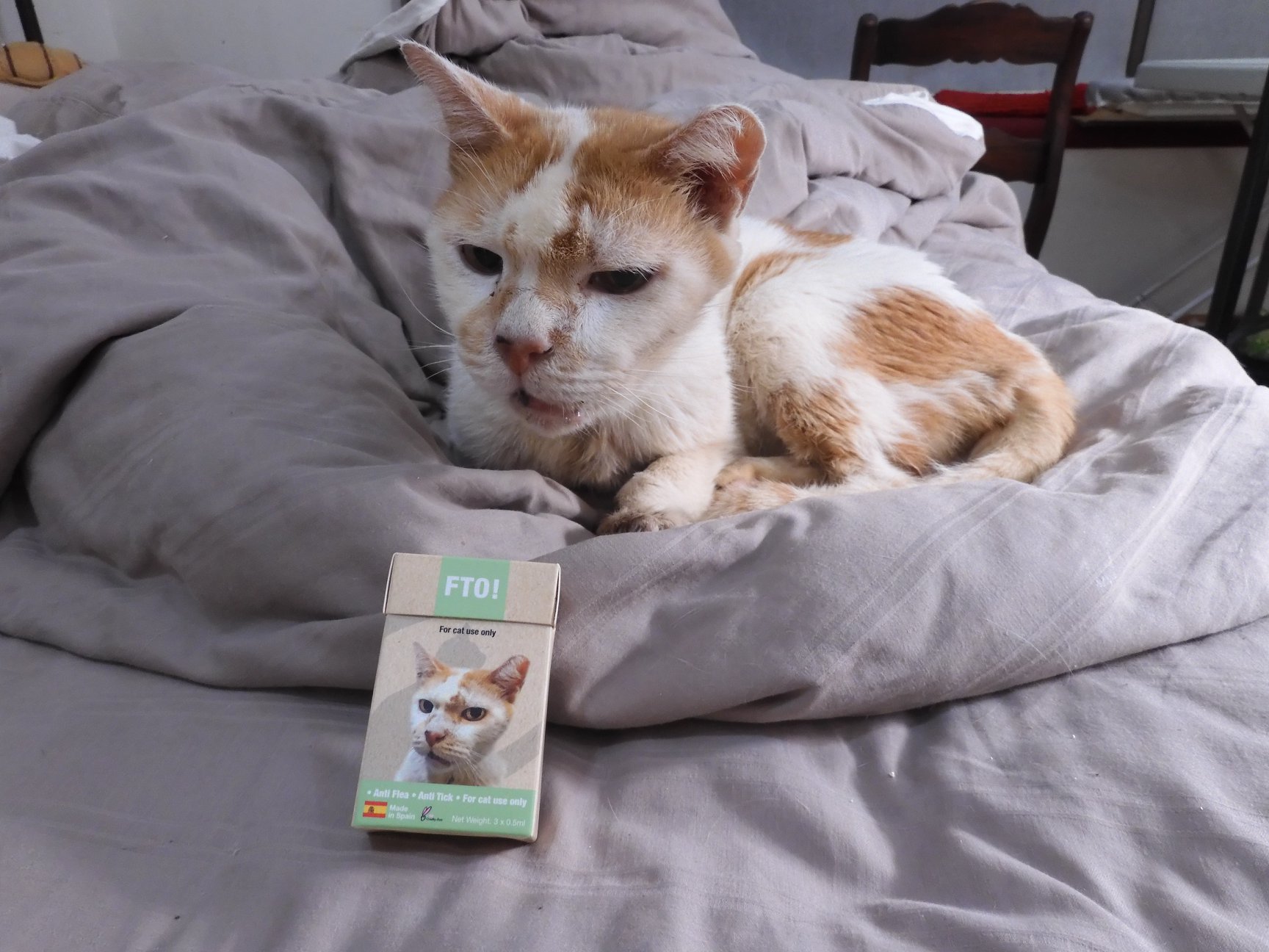 humane animal shelter