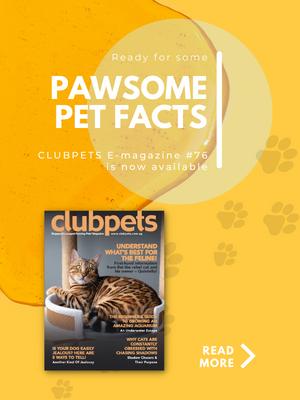 Clubpets E-magazine #76