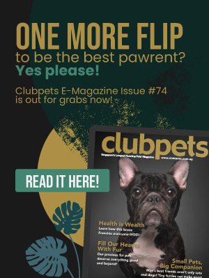 Clubpets E-magazine Issue 74