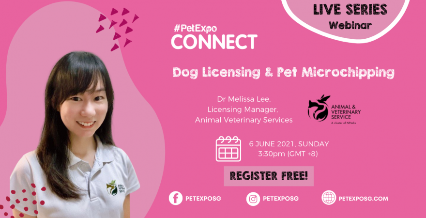 Dog Licensing & Pet Microchipping