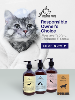 Epidermis Prime | Clubpets E-Store