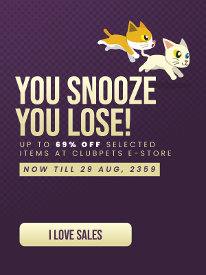 Flash Sale 2.Side Banner