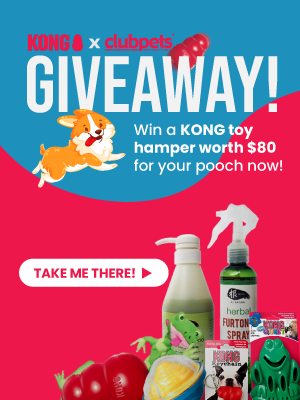 KONG.Side Banner