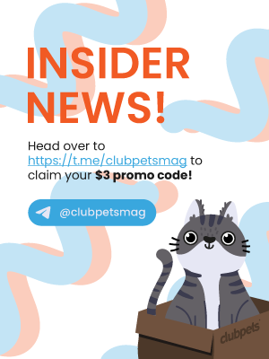 Telegram Promo Code | E-Store