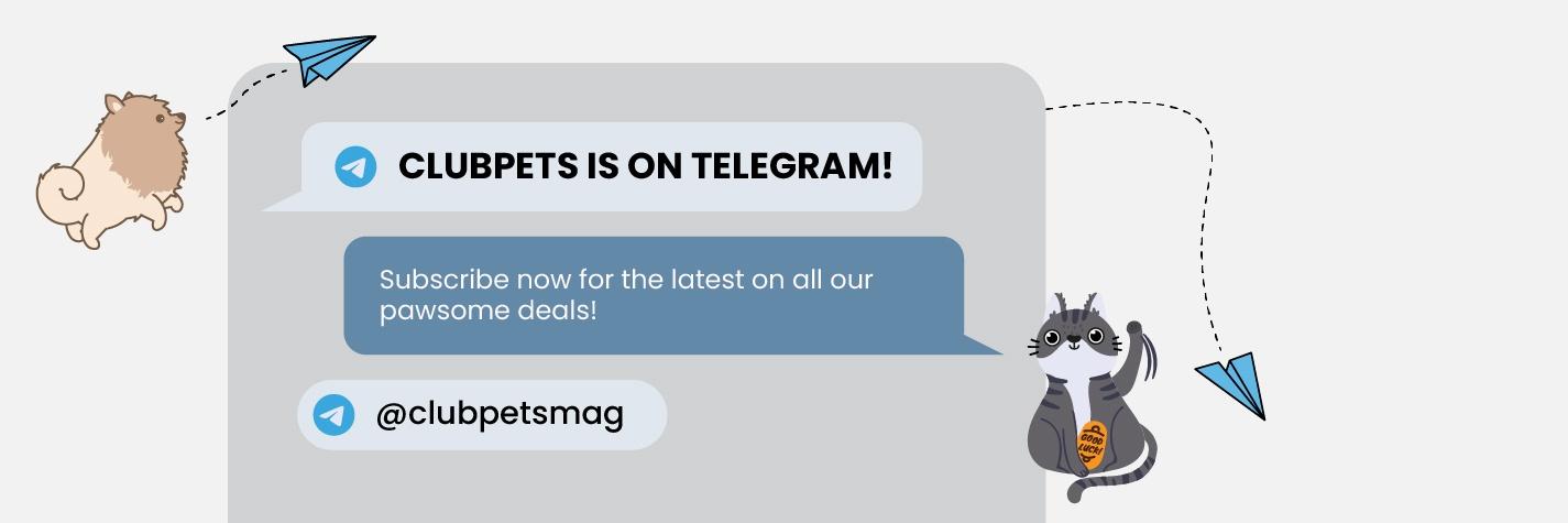 Telegram Clubpets