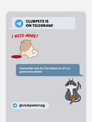 Telegram | Clubpets