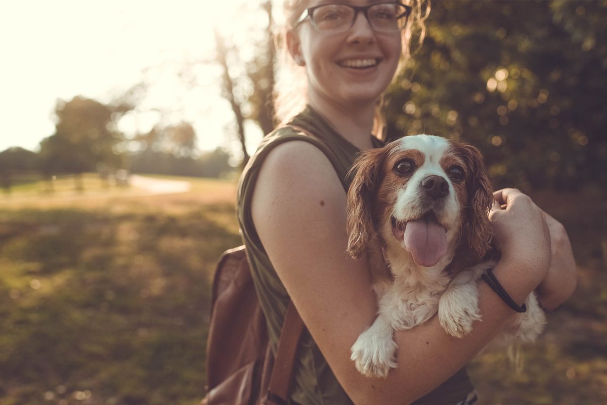 clubpets package premium