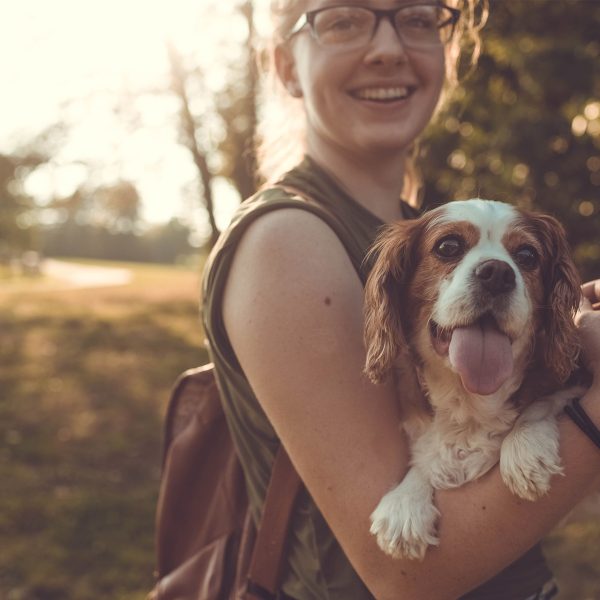 clubpets package premium