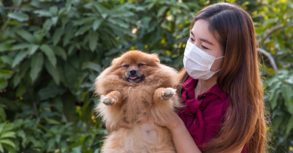 7 Contagious Illnesses That You Can Catch From Your Pet