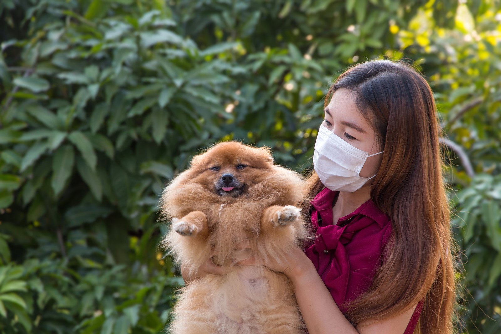 4 Illnesses Humans can Pass to Their Pets