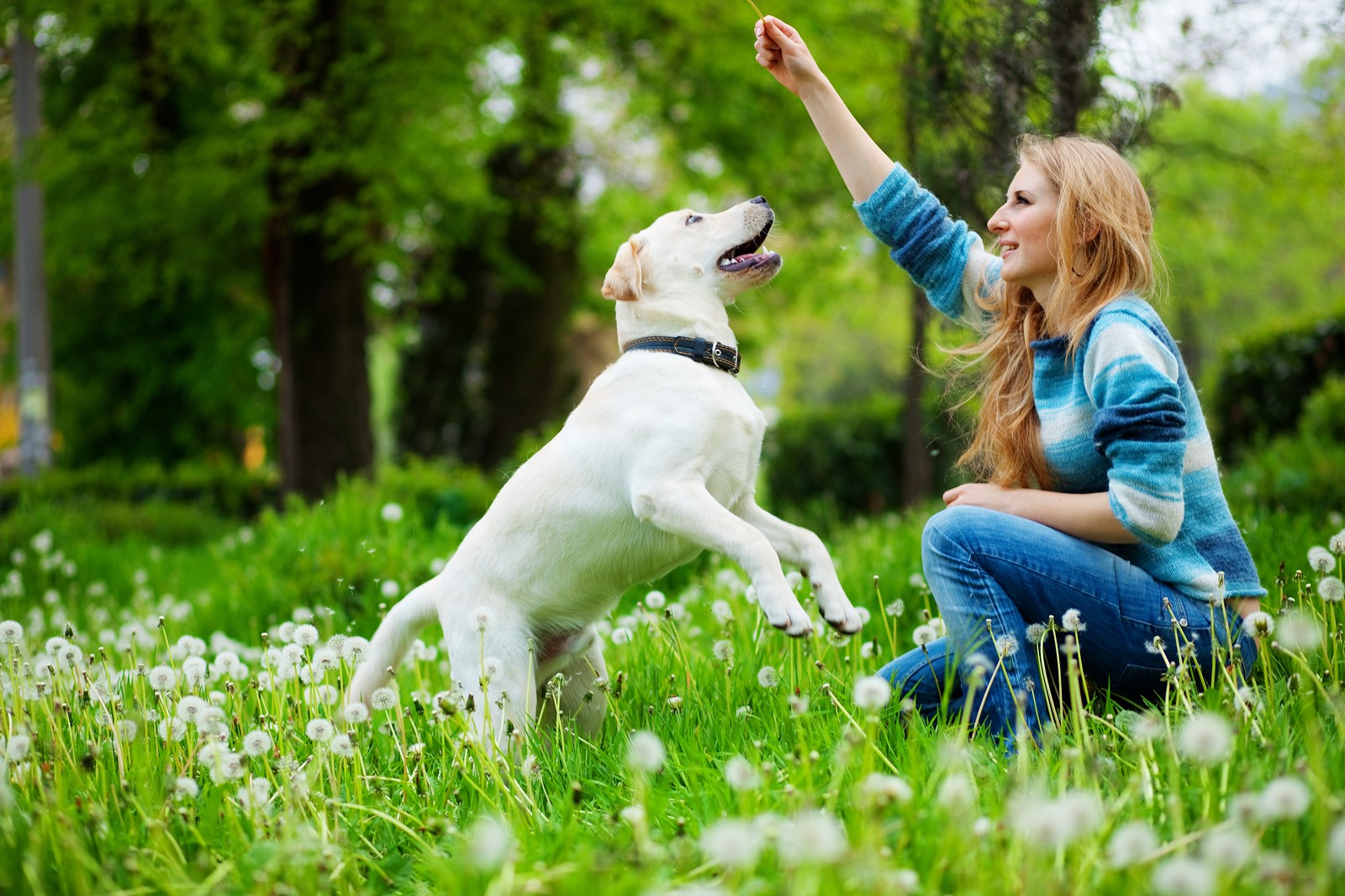 5 Benefits of Being a Pet Owner