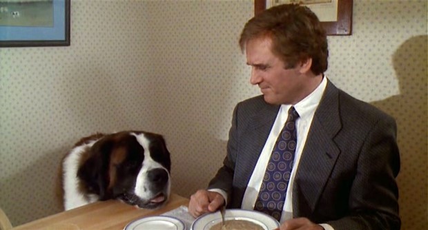 5 Classic Dog Movies You Can Watch With Kids & Your Furry Friends