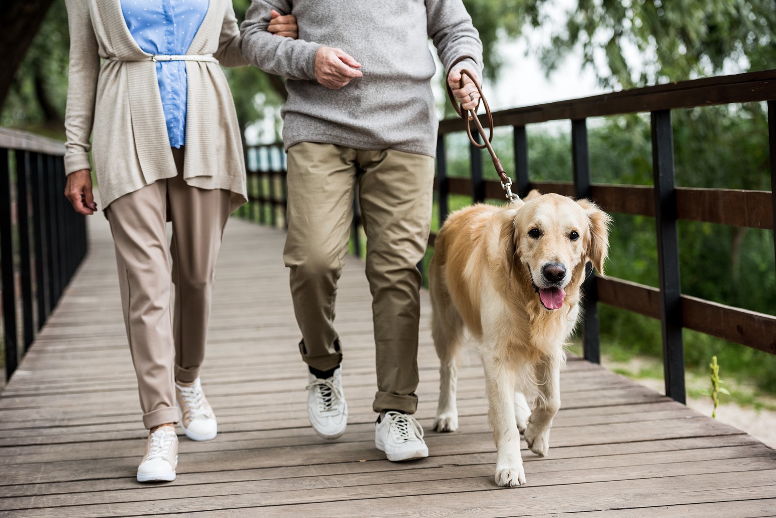 5 Ways Pets Help with Active Ageing