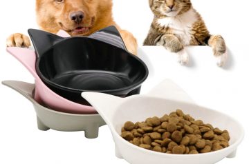 7 Useful Accessories & Items for Pets in Need