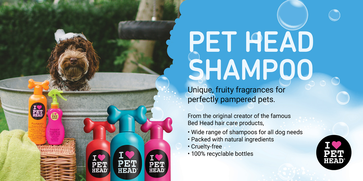 Pet head shampoo