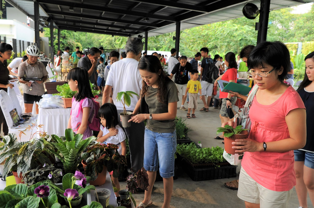 Get Free Pet Microchipping, Health Checkups & Pet-Friendly Fun at NParks’ Pets’ Day Out Event!