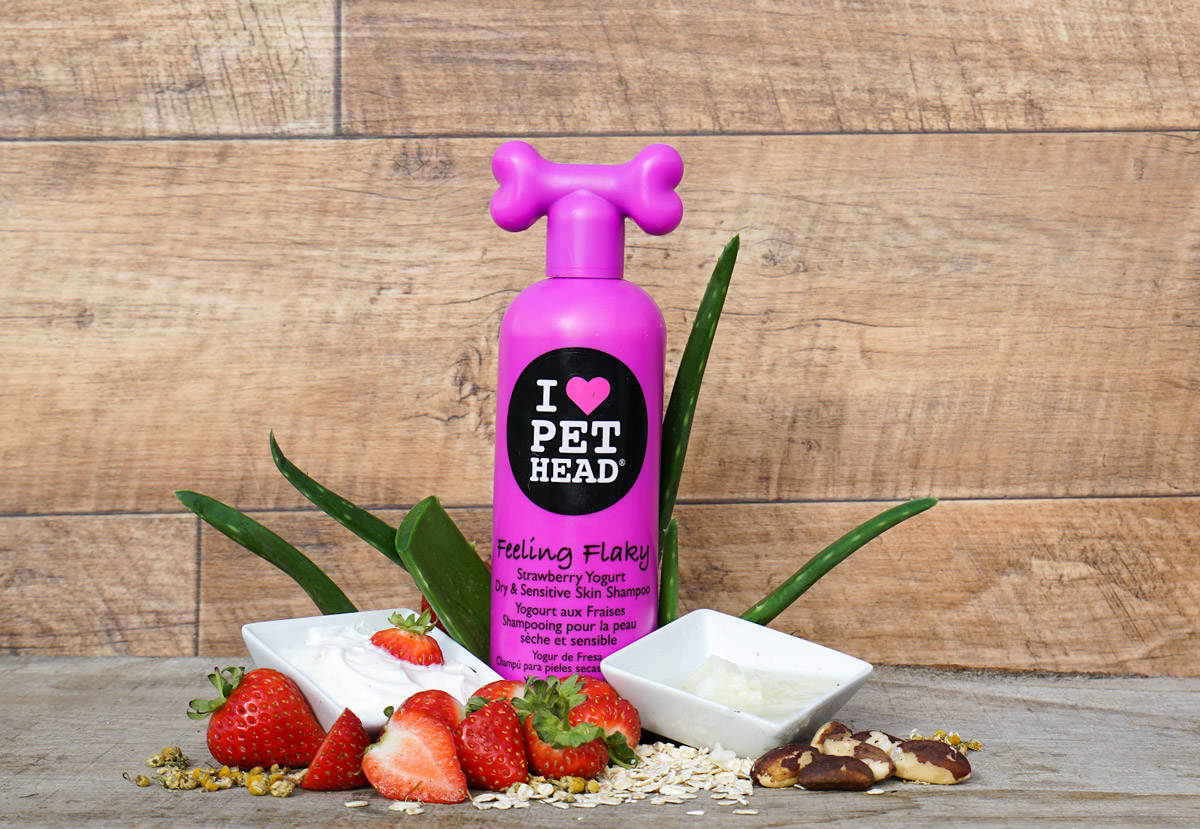 Pet Head Shampoo: The Pet Version of Your Favourite TIGI Bed Head Hair Products
