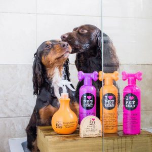 Pet Head Shampoo: The Pet Version of Your Favourite TIGI Bed Head Hair Products