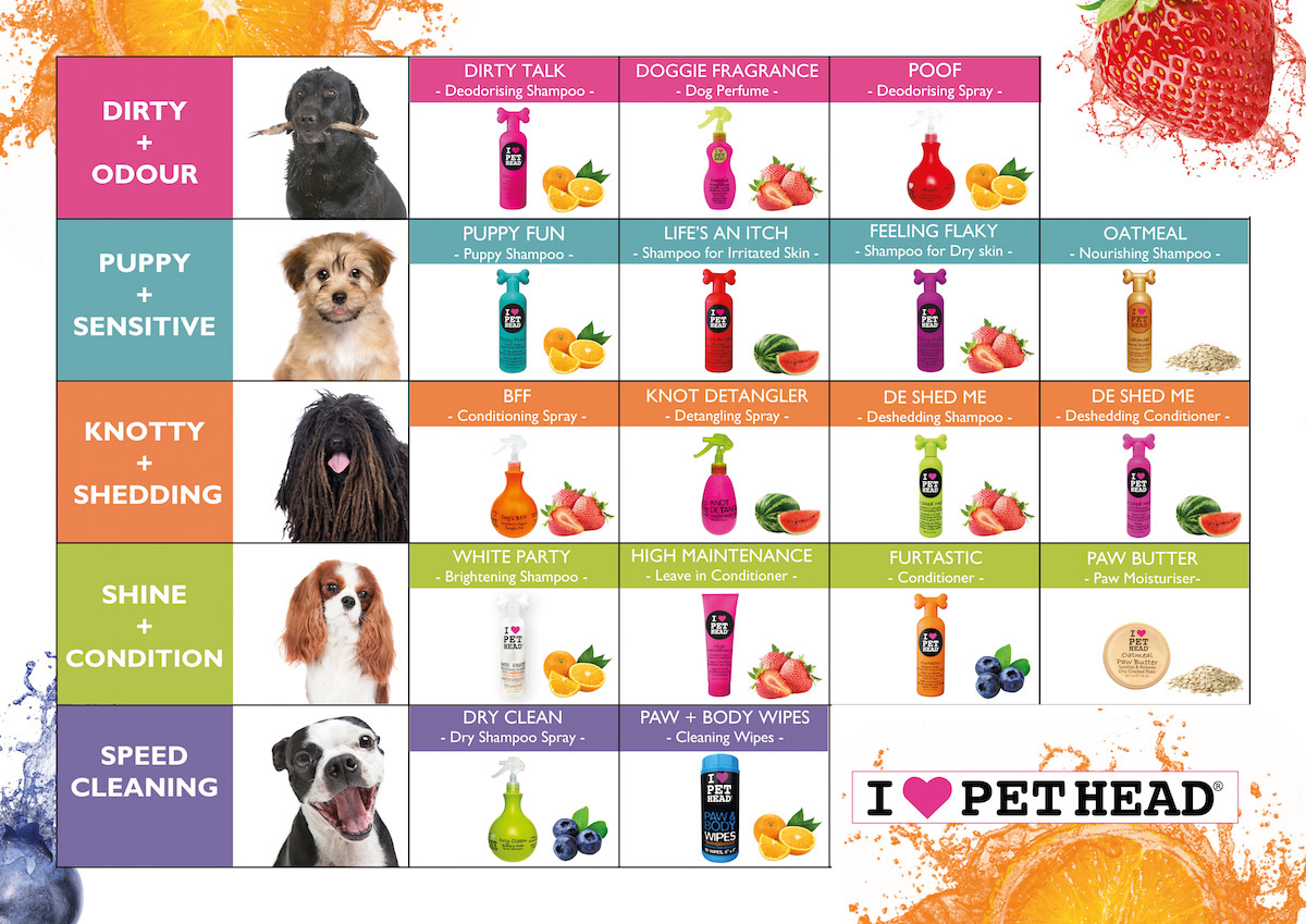 Pet Head Shampoo: The Pet Version of Your Favourite TIGI Bed Head Hair Products