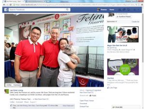 The SG50 CFA Cat Show