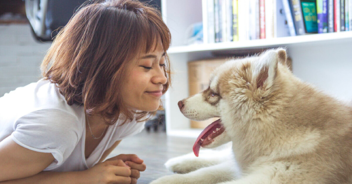A Fuss-Free Guide to Assessing Your Pets’ Health