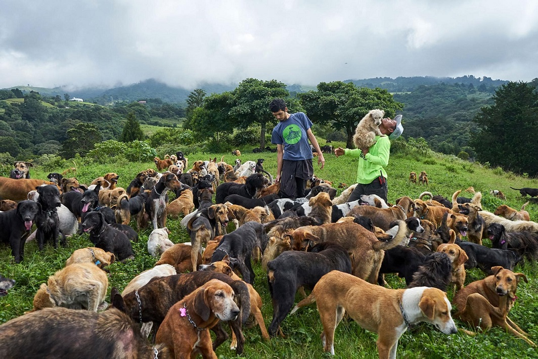 Animal Adventures: 5 Must-Visit Islands for Animal Lovers